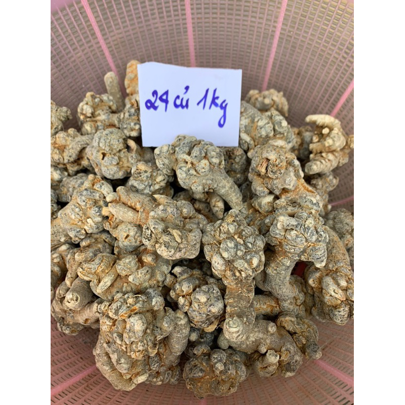 Củ tam thất Bắc Size 24 củ tam thất khô, thơm, hàng chuẩn Tây Bắc 100gr