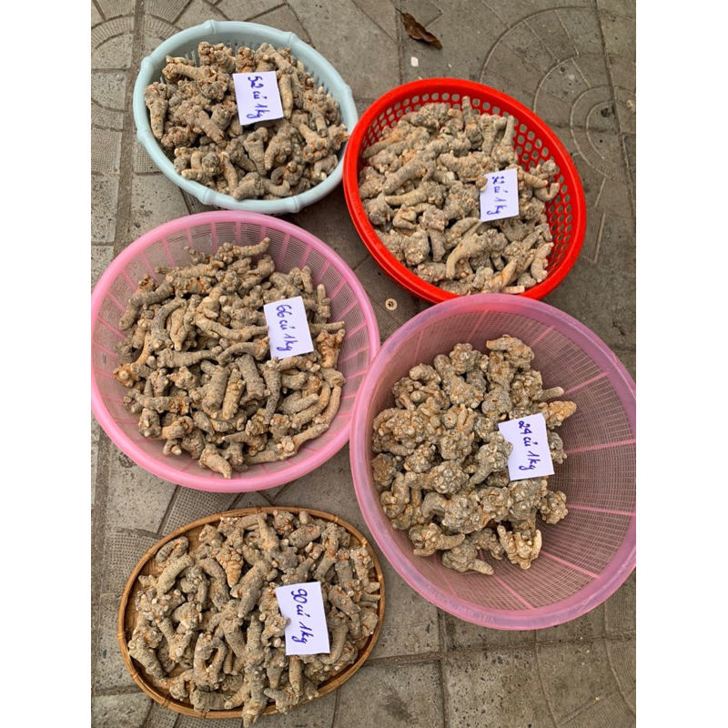 Củ tam thất Bắc Size 24 củ tam thất khô, thơm, hàng chuẩn Tây Bắc 100gr