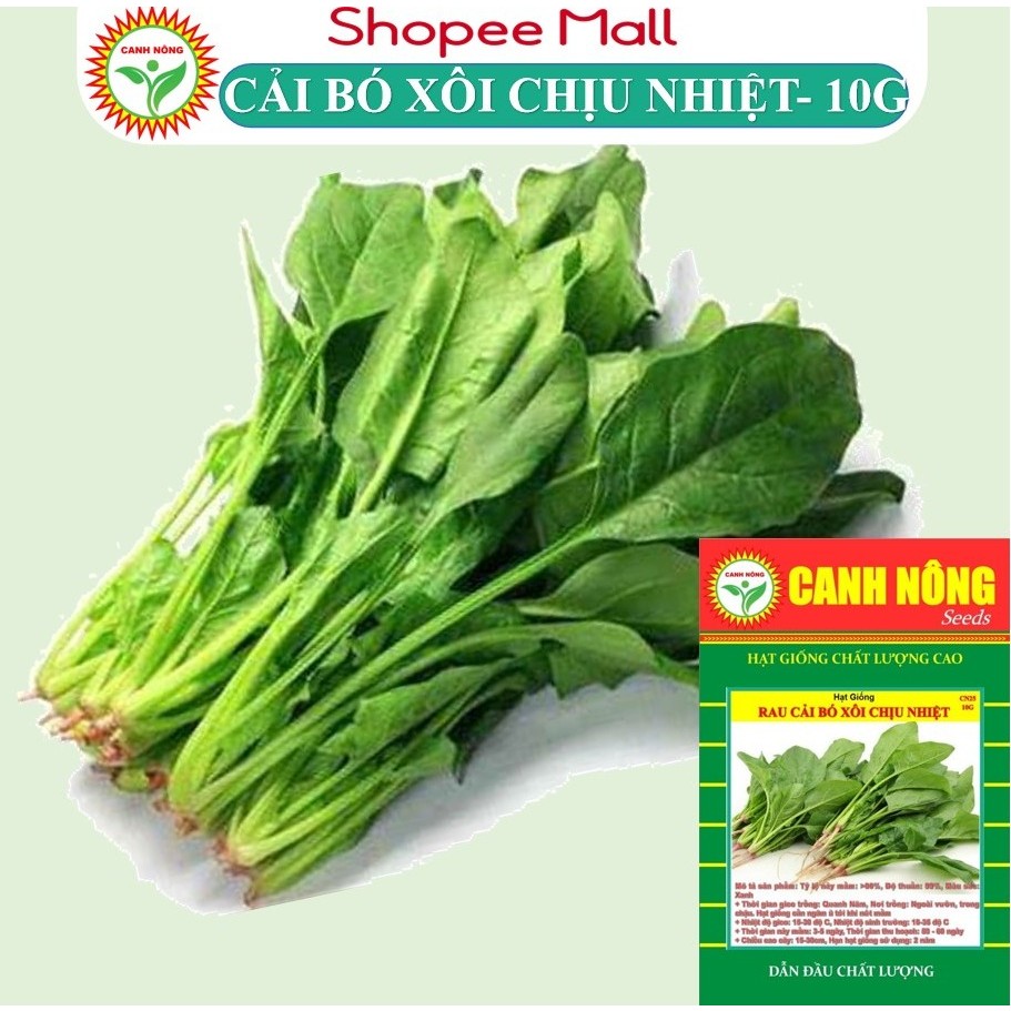 Hạt giống Cải Bó Xôi Chịu Nhiệt (10g~2800 hạt) chịu nhiệt, sinh trưởng khỏe, trồng quanh năm - Hạt giống CANH NÔNG