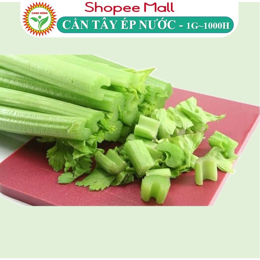 Hạt giống Cần Tây Ép Nước Bẹ To, Cọng Llớn Cần Tây Mỹ Ngọt Khổng Lồ dễ chăm sóc, sinh trưởng khỏe - Hạt Giống CANH NÔNG