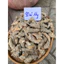 Củ Tam Thất Bắc Khô – 90 Củ/1kg – Khô Thơm, Già Nạc, Nguyên Củ Tây Bắc