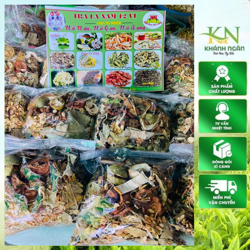 Trà Lá Nam 12 Vị – Thảo Mộc Tự Nhiên – Hãm Trà Uống Hàng Ngày, Thơm Dễ Uống