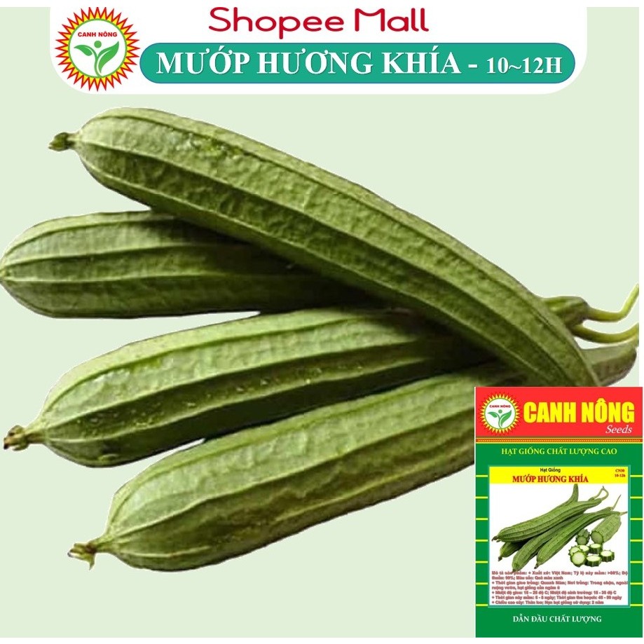 Hạt giống Mướp Hương Khía (1g~10-12 hạt) nảy mầm tốt, năng suất cao, trái dài, trồng quanh năm - Hạt giống CANH NÔNG
