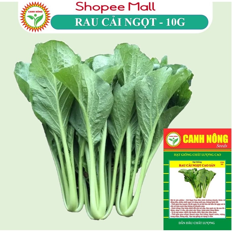 Hạt giống Cải Ngọt Cọng Xanh (10g~6000 hạt) giòn, ngọt, bẹ to, ít sâu bệnh, trồng quanh năm - Hạt giống CANH NÔNG