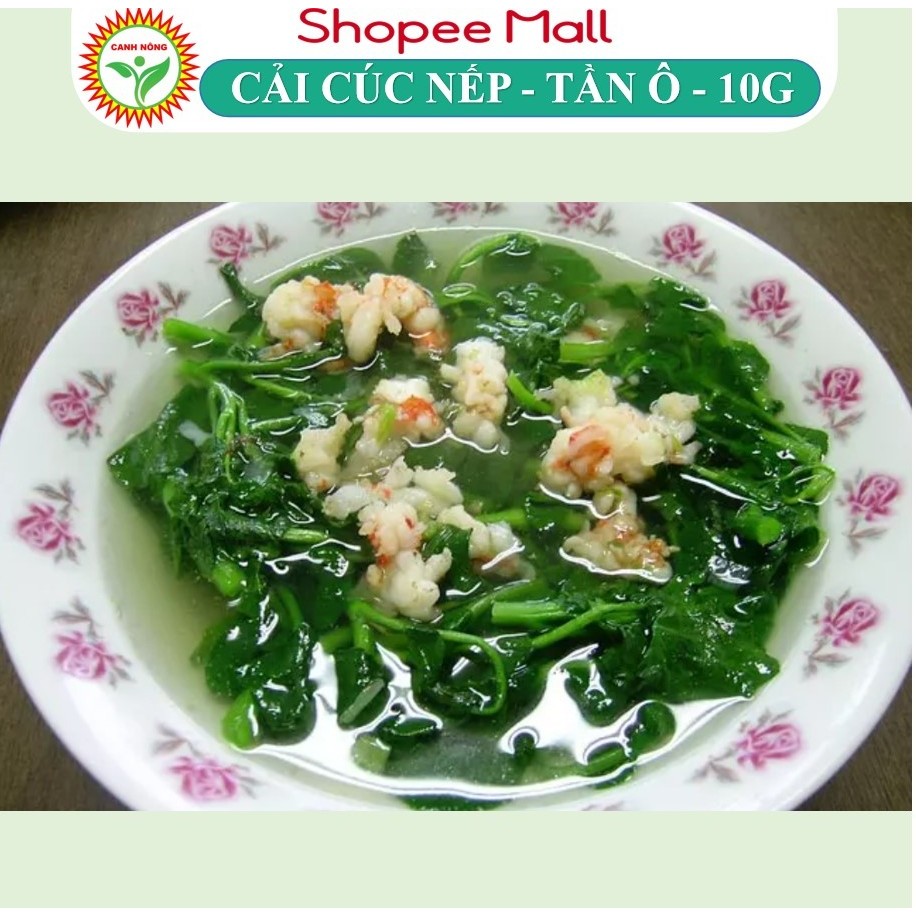 Hạt giống Tần Ô - Cải Cúc Nếp Lá Tròn (10g~3500 hạt) Nảy Mầm Tốt, ít sâu bệnh, trồng quanh năm - Hạt giống CANH NÔNG