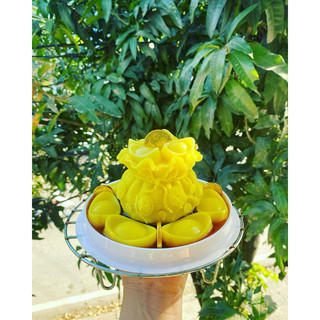 Khuôn hũ vàng lớn