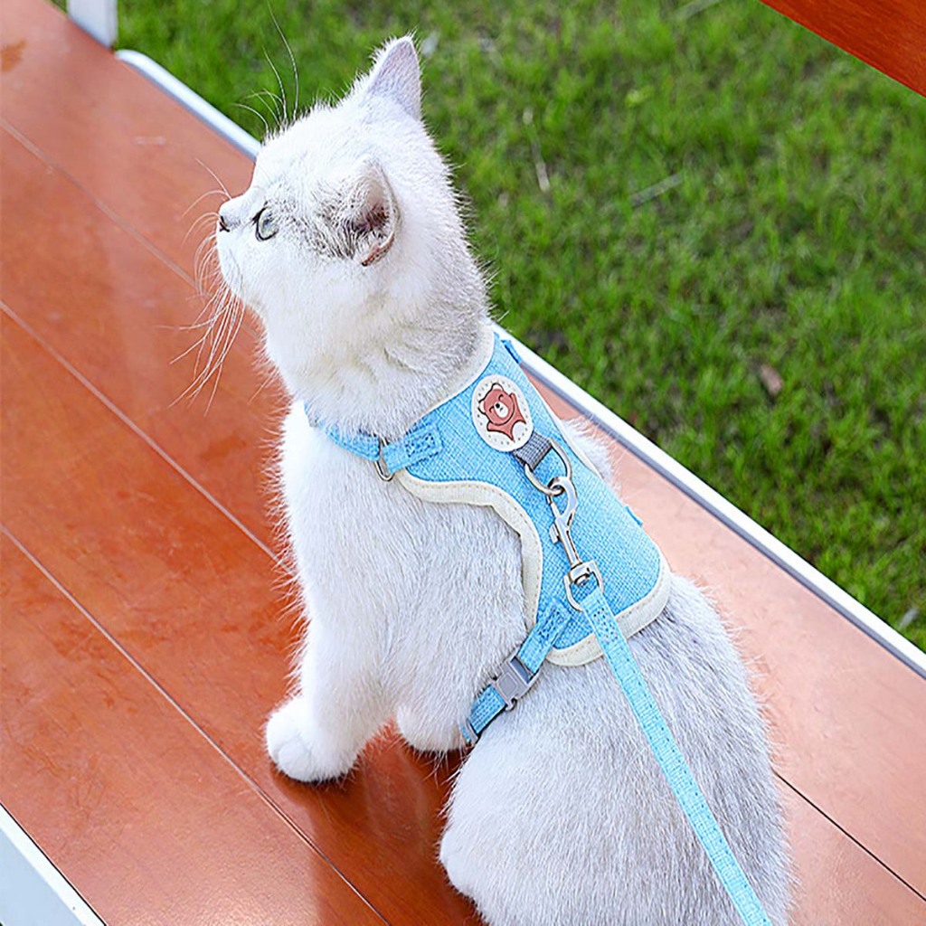 Áo Yếm Dắt Chó Con Mèo Thú Cưng Hamster Dây Xích Cổ Golden Poodle Police Dài Bộ Dây Dẫn Đeo Dắt Mèo Cỡ Lớn Đi Dạo Lapet