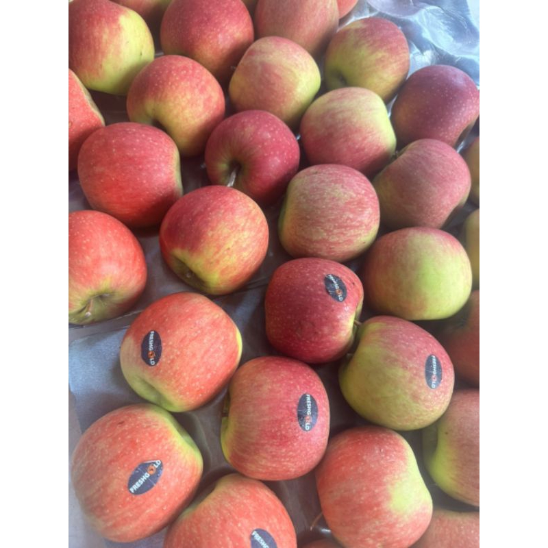 ( JENNY FRUIT ) Táo nam phi giá siu tốt 1kg