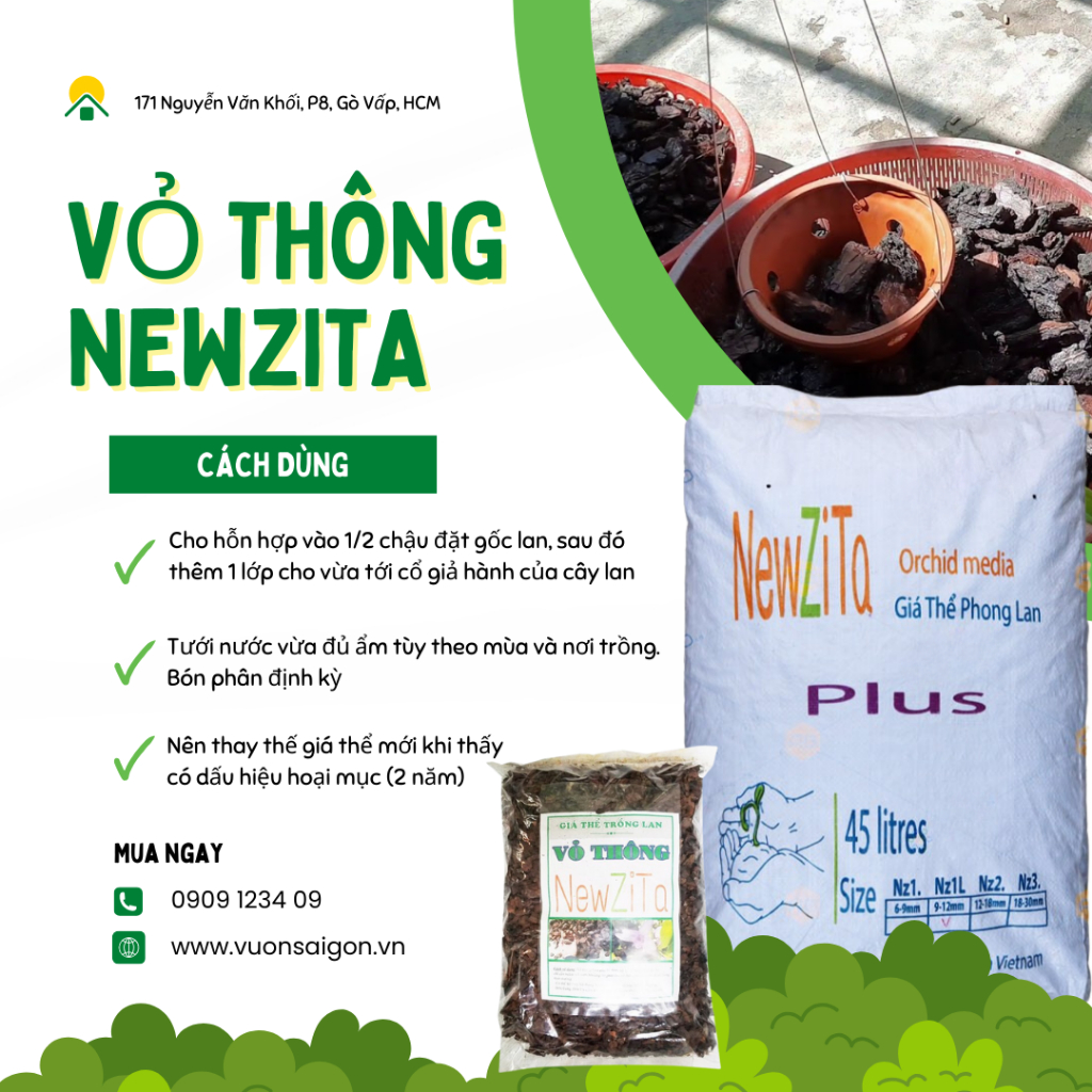 Vỏ thông New Zita đã qua xử lý 6