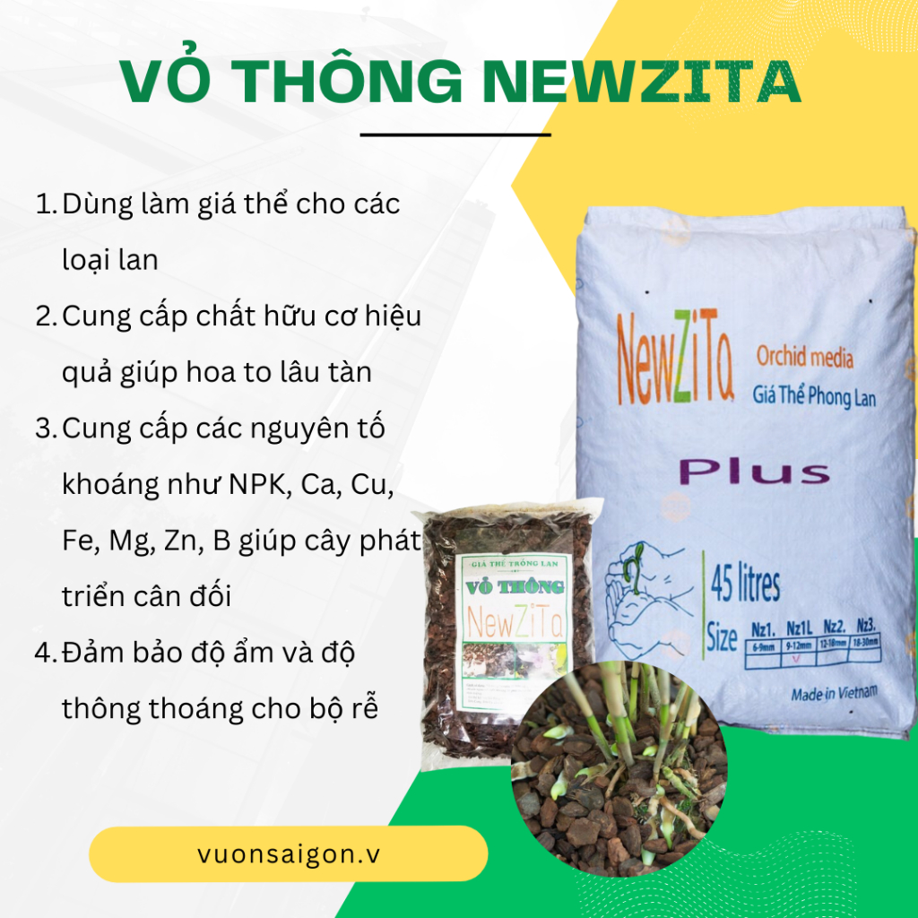 Vỏ thông New Zita đã qua xử lý 5