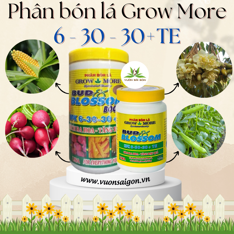 Phân bón lá Grow More 6 30 30+TE ( 100gr và 500gr) 4