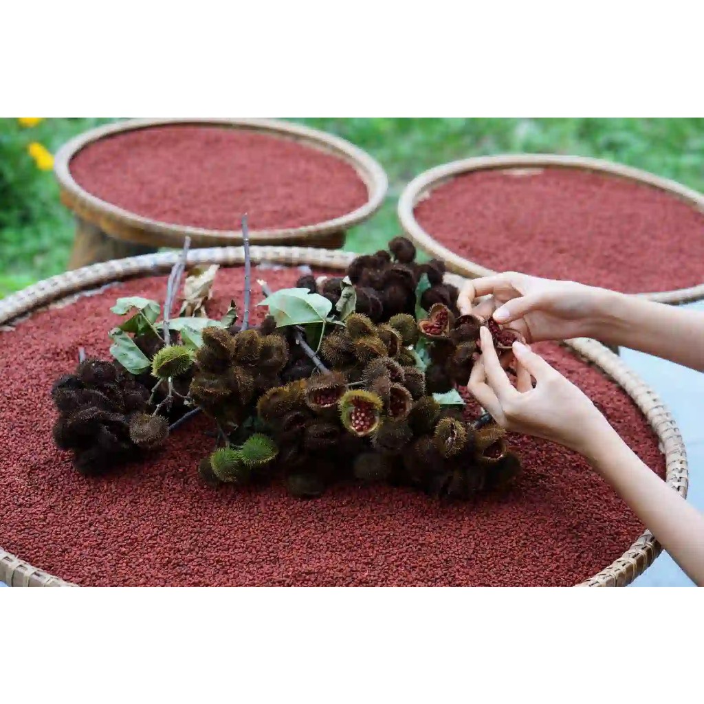 Dầu điều màu phi sẵn nguyên chất 100% - Không pha phẩm màu.