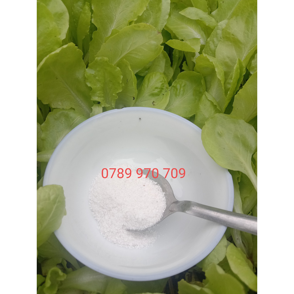 Gói 300g Muối Hầm Quảng Ngãi Sa Kỳ Được Hầm Từ Muối Hột Loại Bỏ Tạp, Vị Đặc Trưng, Làm Gia Vị,...