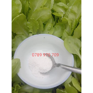 Gói 300g Muối Hầm Quảng Ngãi Sa Kỳ Được Hầm Từ Muối Hột Loại Bỏ Tạp, Vị Đặc Trưng, Làm Gia Vị,...