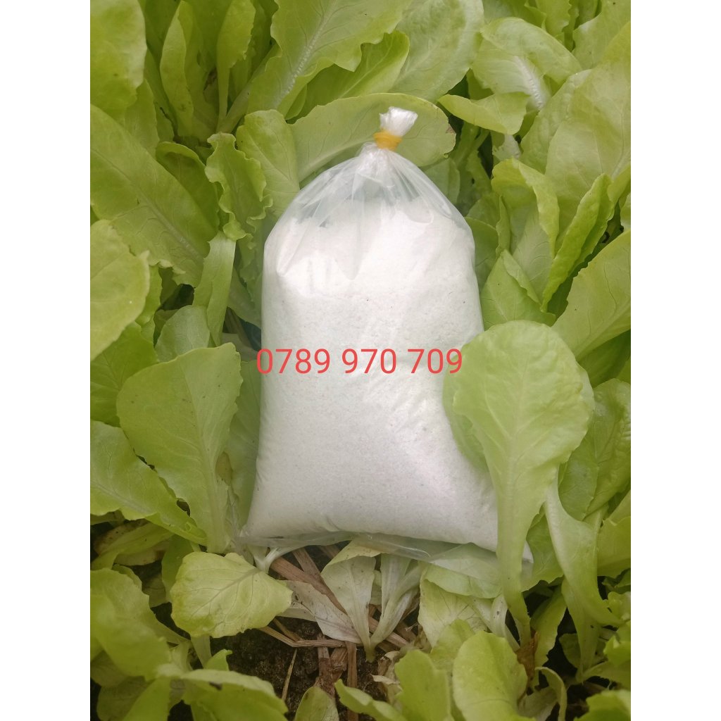 Gói 300g Muối Hầm Quảng Ngãi Sa Kỳ Được Hầm Từ Muối Hột Loại Bỏ Tạp, Vị Đặc Trưng, Làm Gia Vị,...