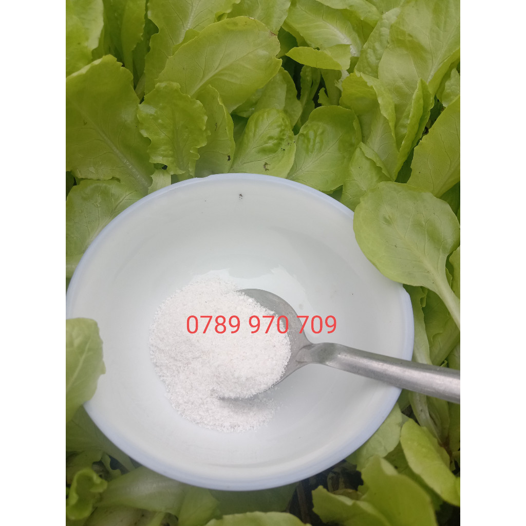 Gói 300g Muối Hầm Quảng Ngãi Sa Kỳ Được Hầm Từ Muối Hột Loại Bỏ Tạp, Vị Đặc Trưng, Làm Gia Vị,...