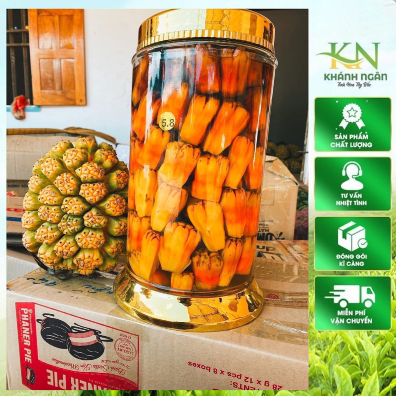 Quả Dứa Dại Rừng Xanh Tươi 1kg(  To đẹp-hút chân không)