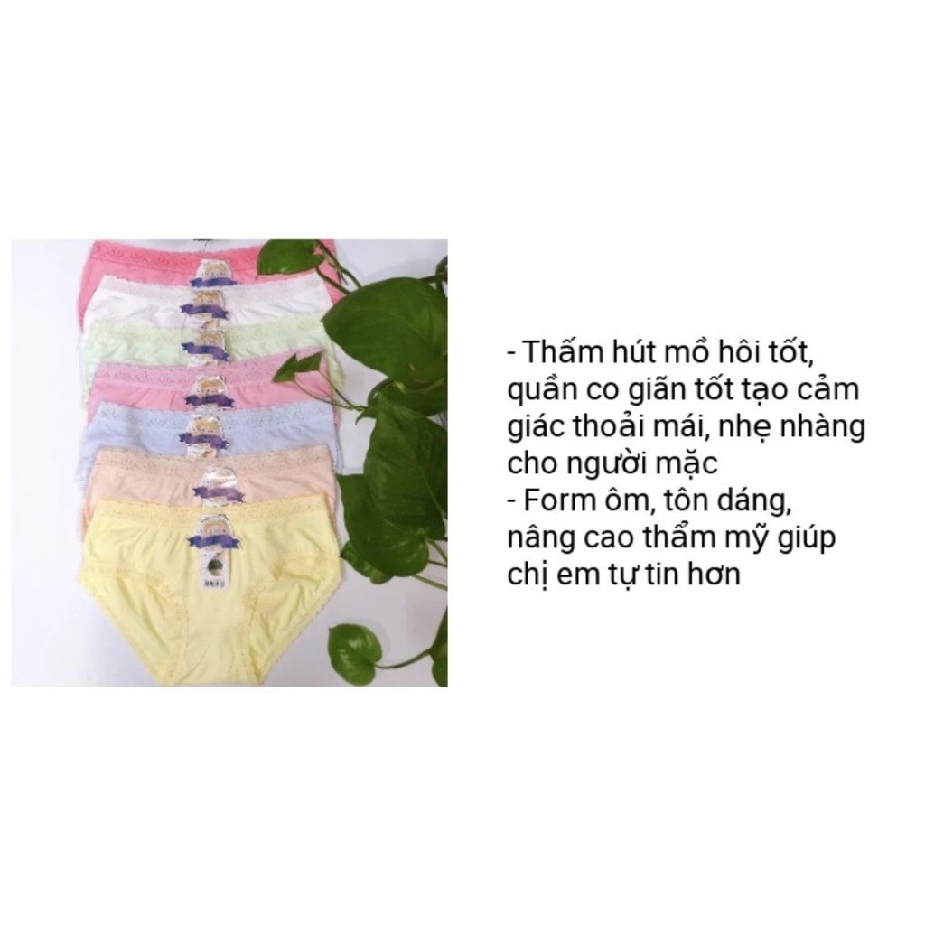 COMBO 5 QUẦN LÓT COTTON  PHỐI REN THÁI LAN,,CAO ĐÂY DẶN MỀM MỊN MÃ 5889-