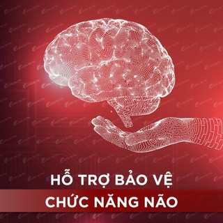 Viên uống Olympian Labs Alpha Brain hỗ trợ tăng cường tuần hoàn não (60 viên)