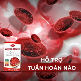 Viên uống Olympian Labs Alpha Brain hỗ trợ tăng cường tuần hoàn não (60 viên)