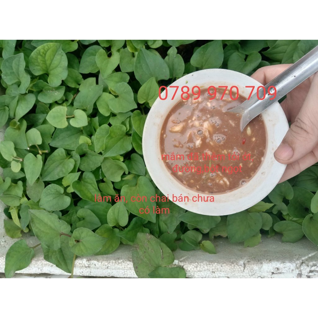 1 Chai 500g Mắm Nêm Dì Cẩn Đà Nẵng Chưa Pha (Không Có Con Mắm, Đã Rịu Ra Mắm), Chấm Thịt Luộc, Ăn Bún Mắm, Chấm Rau,...
