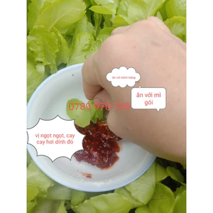 gói 500g Ớt Rim Quảng Ngãi, Tương Ớt Xào Tỏi Ớt, đặc Sản Miền Trung Vị Cay, Ngọt, Ăn Cùng Gỏi, Mì Gói,...Siêu Dínhí