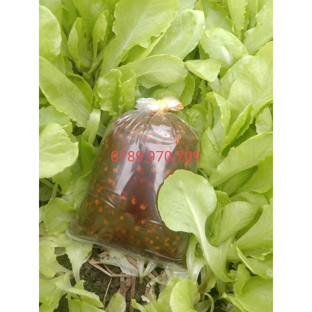 gói 500g Ớt Rim Quảng Ngãi, Tương Ớt Xào Tỏi Ớt, đặc Sản Miền Trung Vị Cay, Ngọt, Ăn Cùng Gỏi, Mì Gói,...Siêu Dínhí