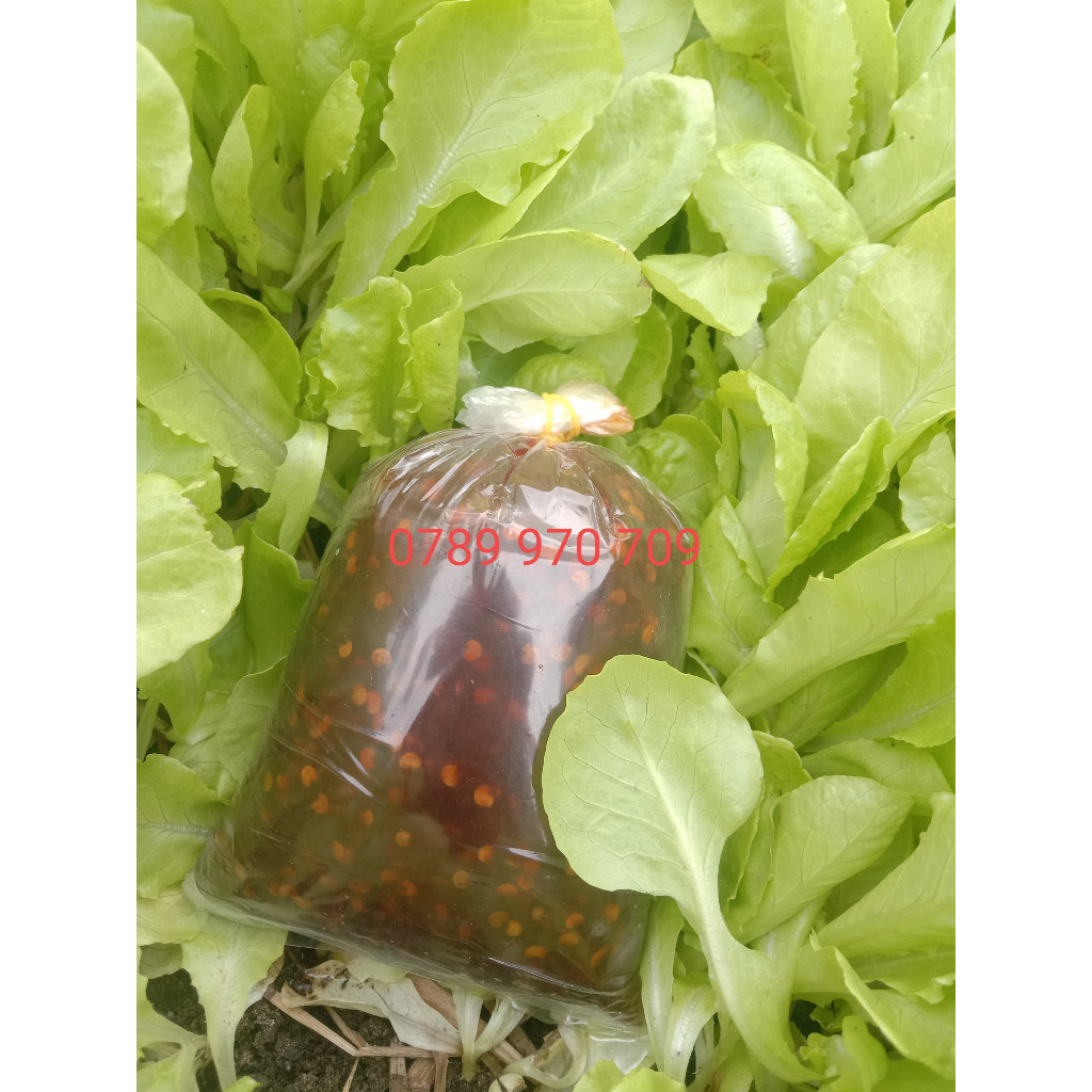 gói 500g Ớt Rim Quảng Ngãi, Tương Ớt Xào Tỏi Ớt, đặc Sản Miền Trung Vị Cay, Ngọt, Ăn Cùng Gỏi, Mì Gói,...Siêu Dínhí