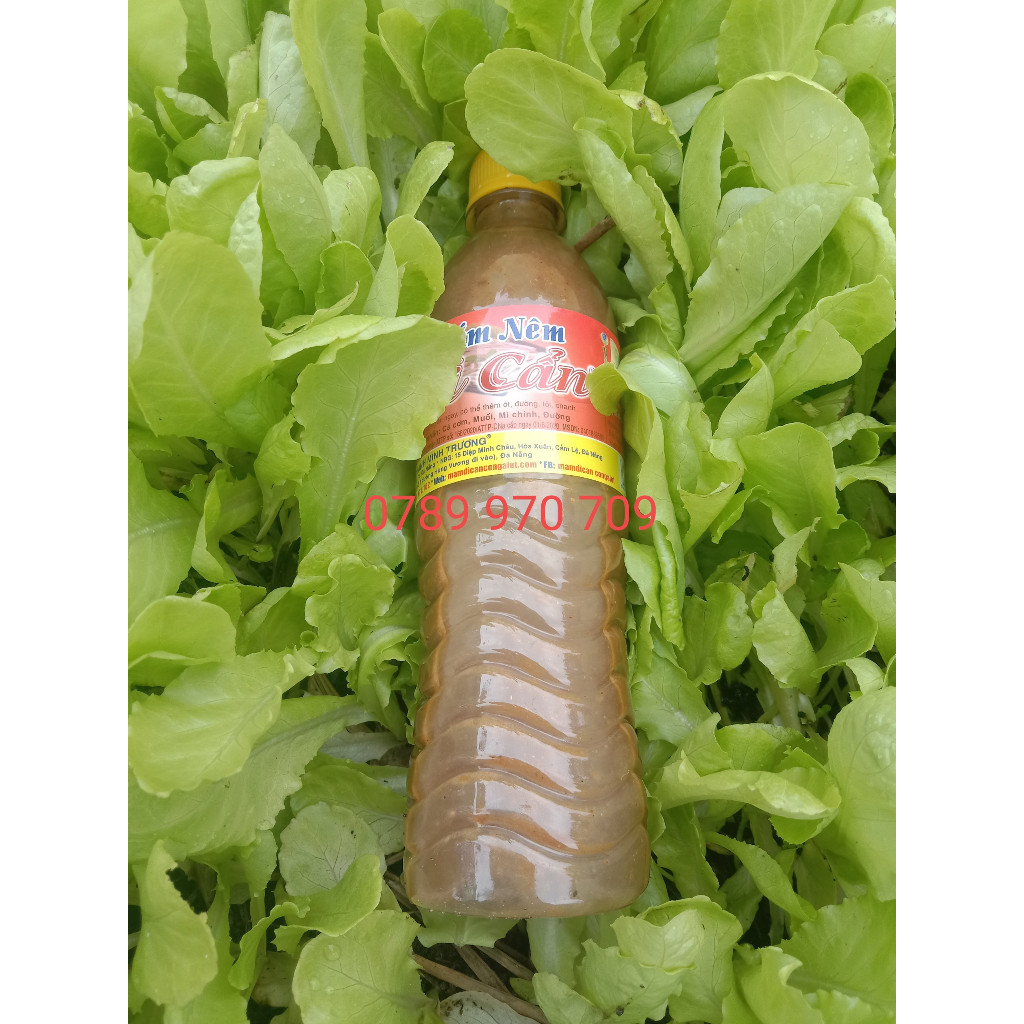1 Chai 500g Mắm Nêm Dì Cẩn Đà Nẵng Chưa Pha (Không Có Con Mắm, Đã Rịu Ra Mắm), Chấm Thịt Luộc, Ăn Bún Mắm, Chấm Rau,...