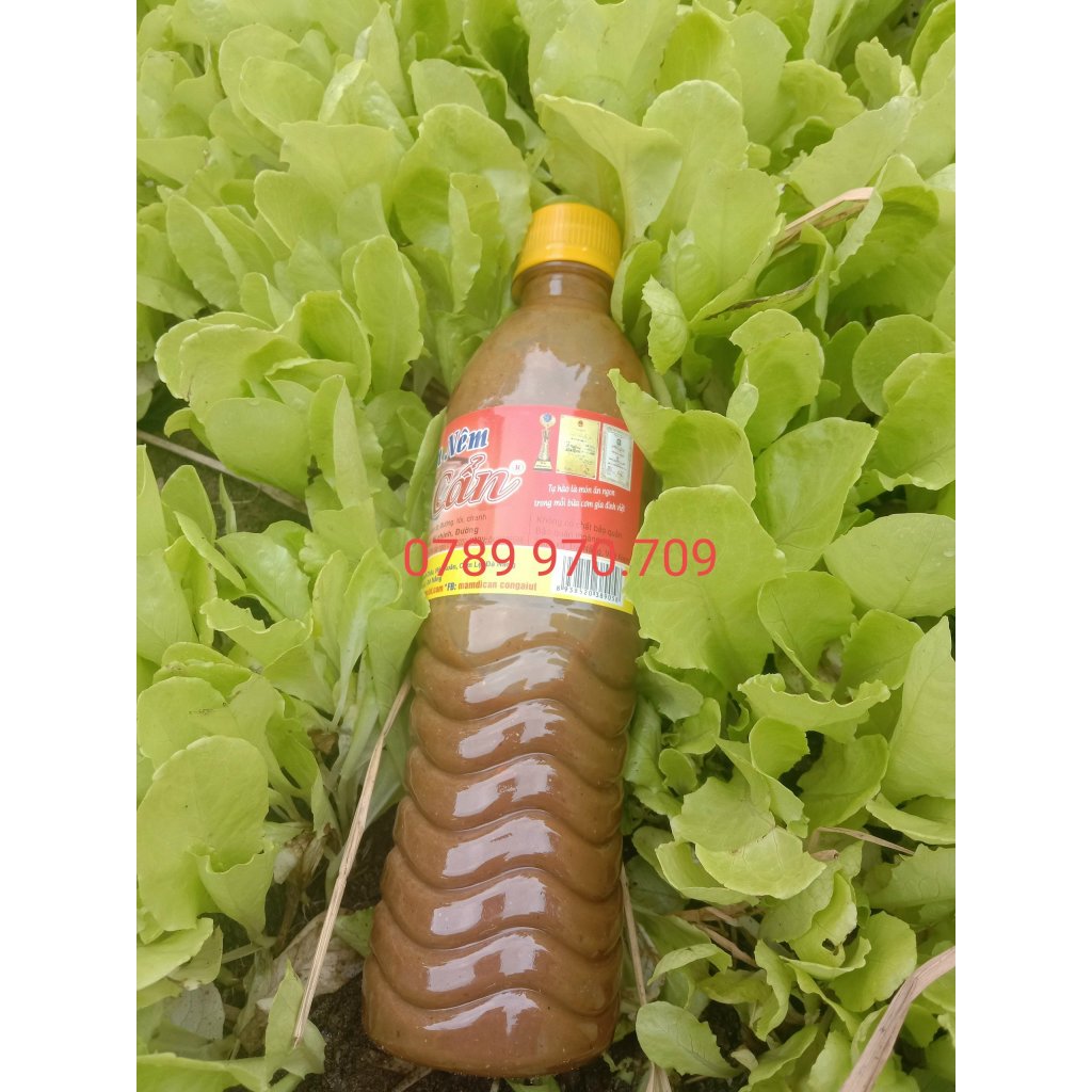 1 Chai 500g Mắm Nêm Dì Cẩn Đà Nẵng Chưa Pha (Không Có Con Mắm, Đã Rịu Ra Mắm), Chấm Thịt Luộc, Ăn Bún Mắm, Chấm Rau,...