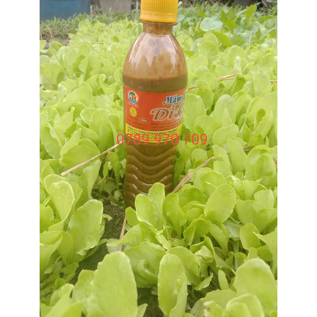1 Chai 500g Mắm Nêm Dì Cẩn Đà Nẵng Chưa Pha (Không Có Con Mắm, Đã Rịu Ra Mắm), Chấm Thịt Luộc, Ăn Bún Mắm, Chấm Rau,...