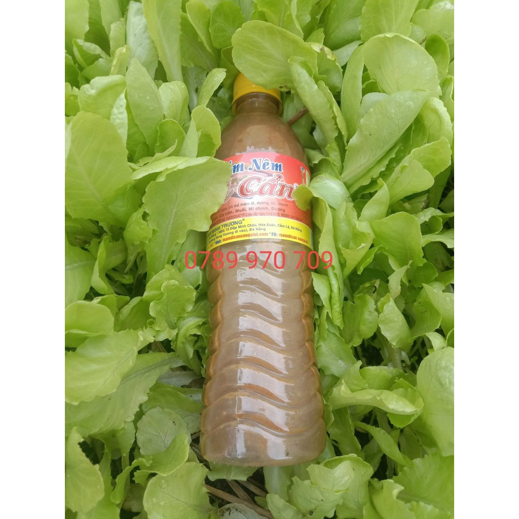 1 Chai 500g Mắm Nêm Dì Cẩn Đà Nẵng Chưa Pha (Không Có Con Mắm, Đã Rịu Ra Mắm), Chấm Thịt Luộc, Ăn Bún Mắm, Chấm Rau,...