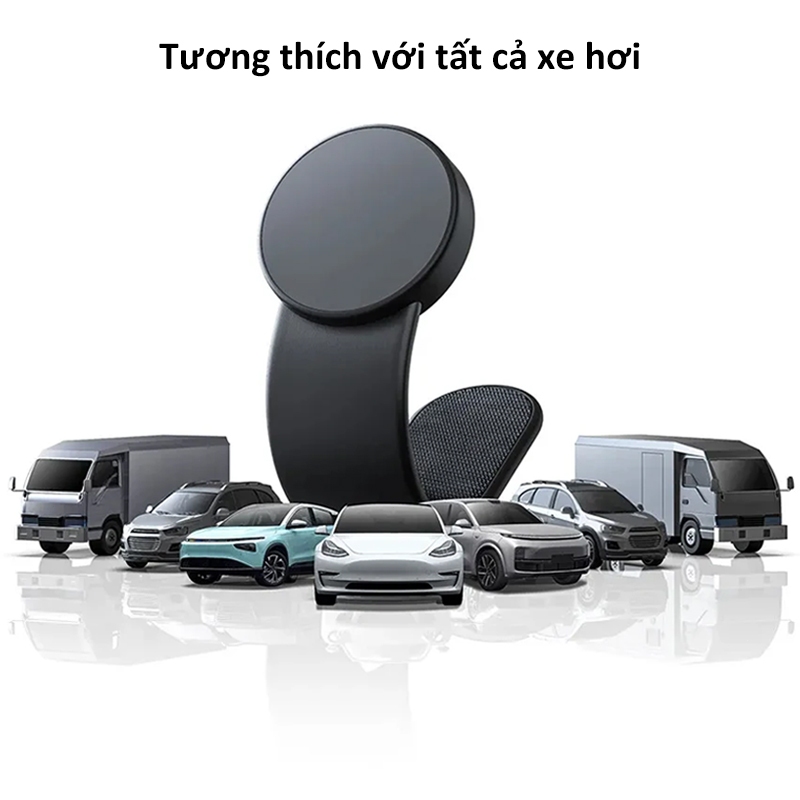 Ảnh 8