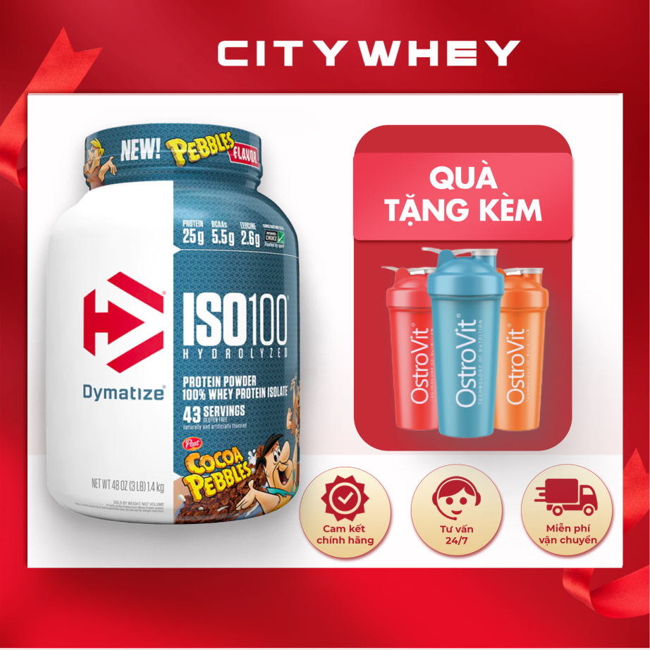WHEY PROTEIN DYMATIZE 