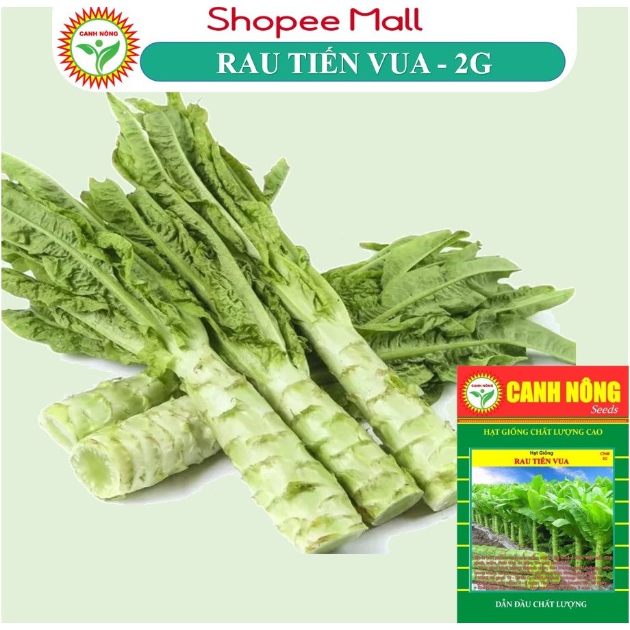 Hạt giống Rau Tiến Vua (2g~1200 hạt) thu hoạch nhiều lần, dễ trồng - Hạt giống CANH NÔNG