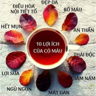 1KG cỏ máu hàng khô, sạch [ Sấy Lạnh ] tăng cân