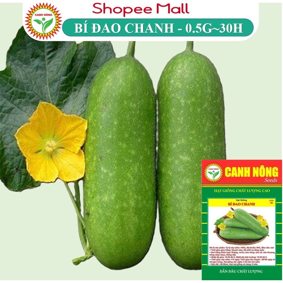 Hạt giống Bí Đao Chanh Lai F1 (0,5g~30 hạt) siêu trái, trồng quanh năm, đậu quả cao - Hạt giống CANH NÔNG