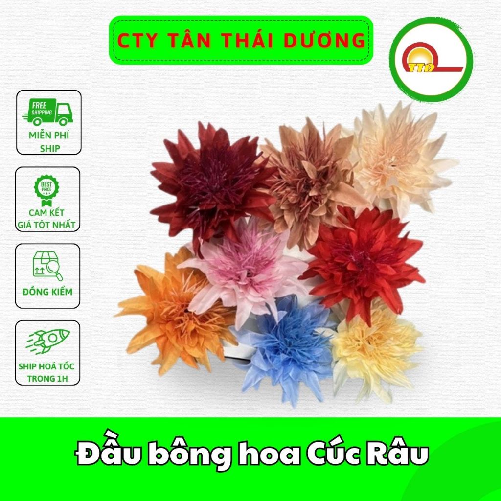 Đầu bông hoa Cúc Râu trang trí tết , Decor Loại Đẹp | Shopee Việt Nam