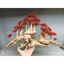 Cây gỗ lũa bonsai kiểu đồi cây [Phần đế bằng gỗ, phần thân có nhiều rể rủ, hang hốc. có 2 loại tán]
