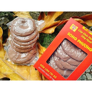 Tai Nấm Linh Chi Song Phương Hộp 100g - TiPiKay Shop