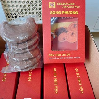 Tai Nấm Linh Chi Song Phương Hộp 100g - TiPiKay Shop