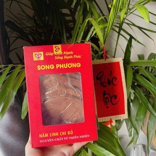 Tai Nấm Linh Chi Song Phương Hộp 100g - TiPiKay Shop