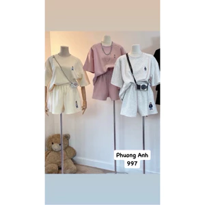 Set bộ đùi logo gấu thêu nổi chất cotton tàu thấm hút mồ hôi