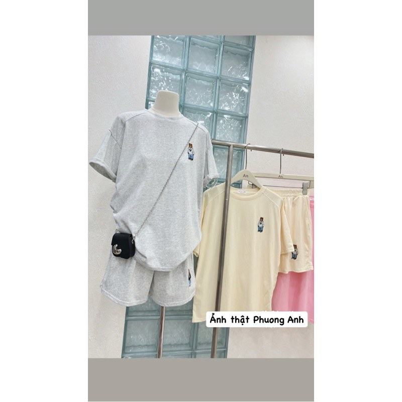 Set bộ đùi logo gấu thêu nổi chất cotton tàu thấm hút mồ hôi