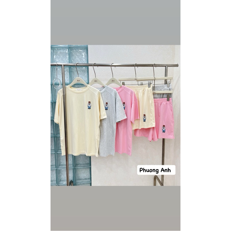 Set bộ đùi logo gấu thêu nổi chất cotton tàu thấm hút mồ hôi