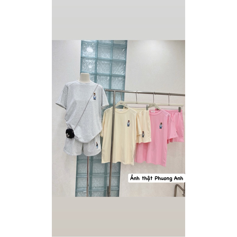 Set bộ đùi logo gấu thêu nổi chất cotton tàu thấm hút mồ hôi