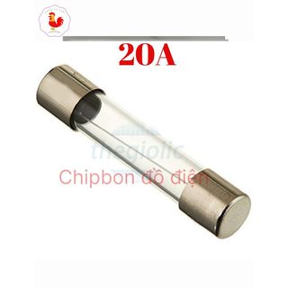 Cầu chì thủy tinh 6x30 250v 1 cặp 2 cái