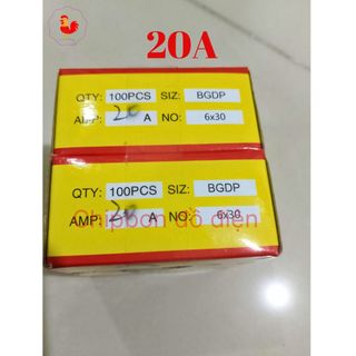Cầu chì thủy tinh 6x30 250v 1 cặp 2 cái