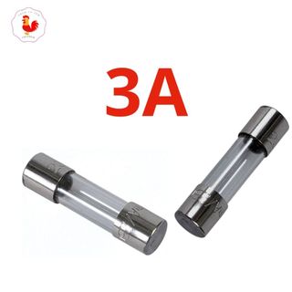 Cầu chì thủy tinh 6x30 250v 1 cặp 2 cái
