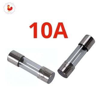 Cầu chì thủy tinh 6x30 250v 1 cặp 2 cái